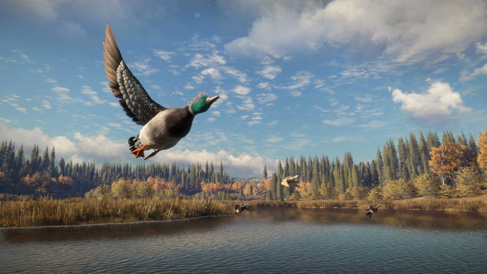 猎人：荒野的召唤/theHunter: Call of the Wild（更新v2891297）